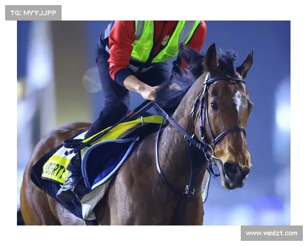 名将田原 G1 首冠!父子制霸宝塚纪念赛创历史 名将田原 G1 首冠!父子制霸宝塚纪念赛创历史
